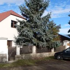 Apartment U Lochů
