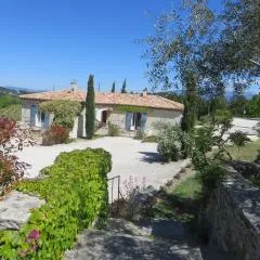 Cerise en Provence