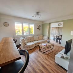 Large 3 room apartment with garden, parking Annecy