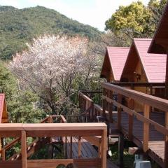 Strawberry Farm Shirasaki