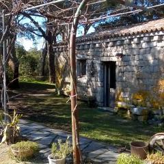 Agriturismo La Vigna