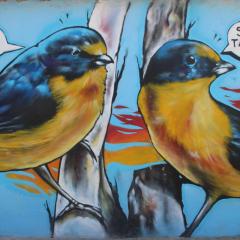 Tá em Casa Peruíbe