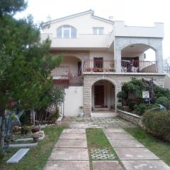 Apartments Davor