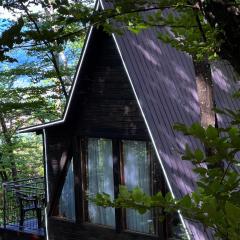 Forest House Bijelo Polje
