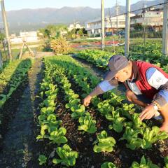 菜爺爺親子蔬宿Vegepapa B&B