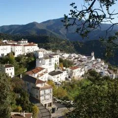 Apartamentos Rurales Jardines del Visir
