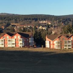 Apartment Gosch an der Skiwiese