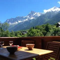 Facing the Chamonix Needles