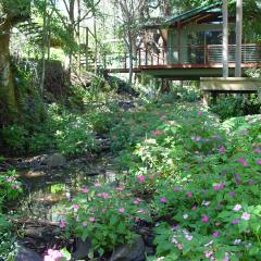 Treetops Montville