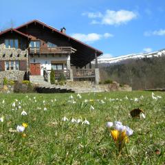 Chalet Kukavica