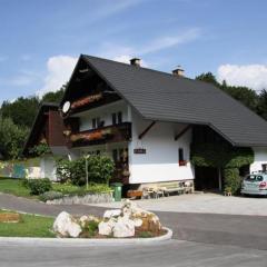 Apartments and rooms Cerkovnik