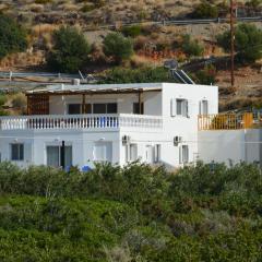 Beautiful spacious villa near Makry Gialos