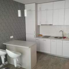 Nordic Apartamenty Suraska