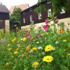 Wohnung in Weibig mit Garten