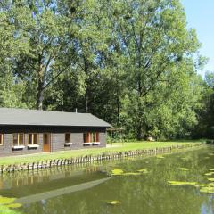 Beautiful Holiday Home in Braibant