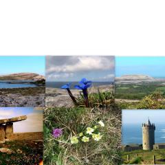 Roadside Cottage The Burren