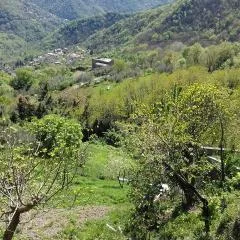 Albergo Caprile