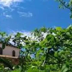 Il Gelsomino Home Holiday