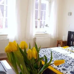 Apartmány u náměstí