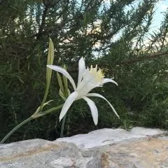 Ca' di Bianca