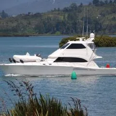 Tides Reach Whitianga