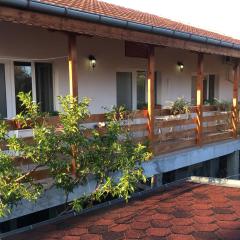 Guest House Pri Germanetsa