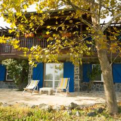 Art Provence House