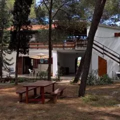 Apartments Vera - Mirca