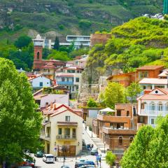 Apartment on Botanikuri