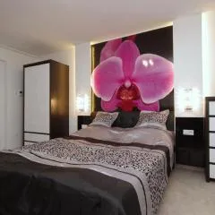 Regina Delux Apartman