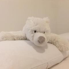 La Tanière de l'Ours Blanc Aubagne-Cassis-Aix en Provence