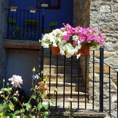 Apartamentos La Borda Castillon