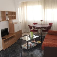 Apartment Svetlana 2
