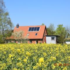 Ferienwohnung mit Tiny House