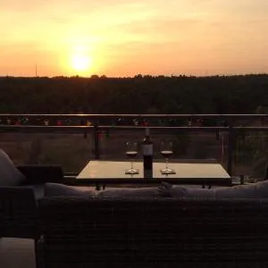 Paradise Terrace House