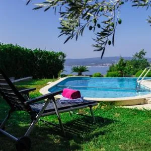 Villa Lion's House