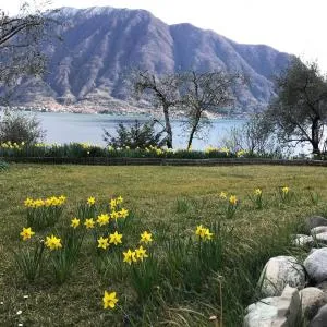 Big Apartment with Lake View and Three Bedrooms