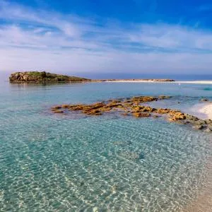 Nissi Golden Sand lovely one bedroom apartment with spacious terrace and free parking