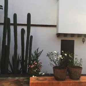 LAS ALAMEDAS Departamentos céntricos con estacionamiento privado