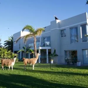Lamabeach city farm