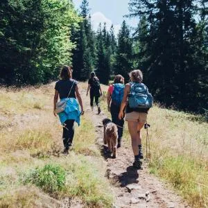 Apartmajsko naselje Ribniško Pohorje