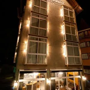Micheline Hotel Tricot