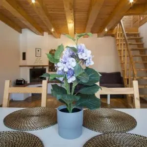 Šv. Mykolo Rooftop Apartment & Sauna