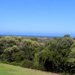 Soulenti on Goose with Sea View