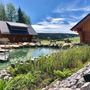 Naturstammhaus und Appartements Zum Brockenbaecker