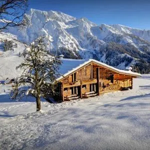 Chalet Capieu - Le Barn - OVO Network
