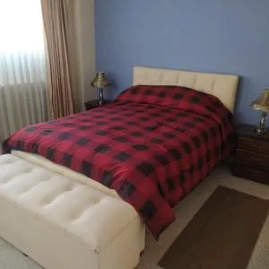 DEPARTAMENTO AMOBLADO y CENTRICO