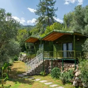 APA Mountain Lodge