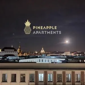 Pineapple Apartments Dresden Zwinger V