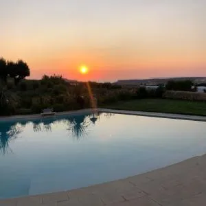 Sunset Oasis
